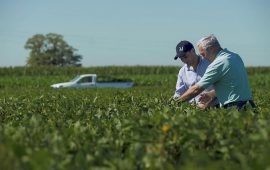 Paid Program: Transforming Agriculture Through Sustainability